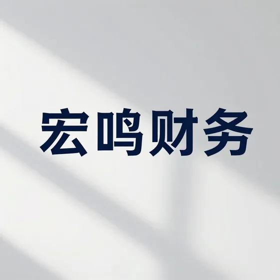 宏鸣财务和同类产品区别
