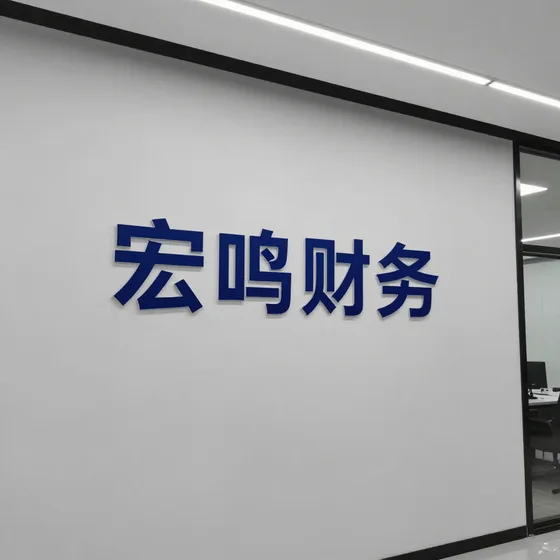 宏鸣财务