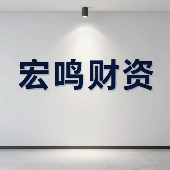 宏鸣财务